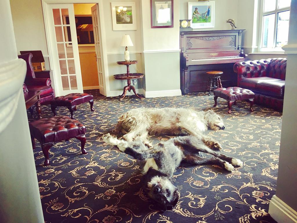 Milltown House Dingle Hotel Kültér fotó